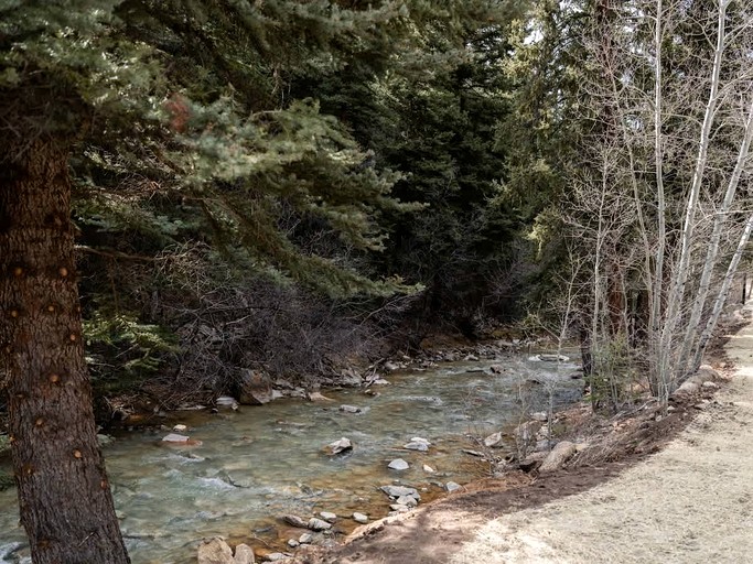 Cabins (United States of America, Grant, Colorado)
