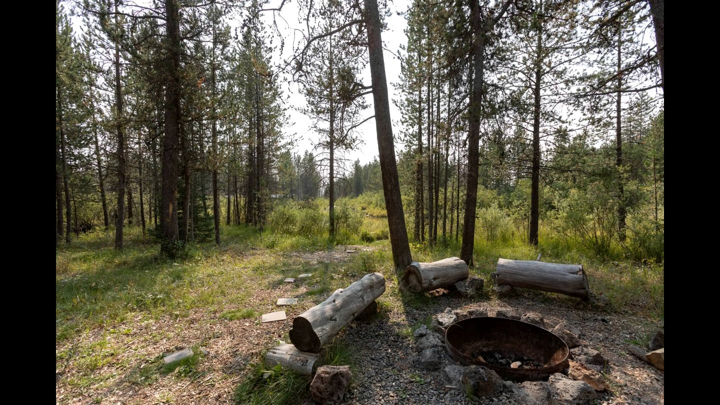 Rustic Cabin Retreat with Private Pond & Hot Tub near Island Park, Idaho