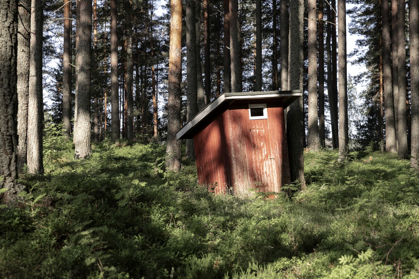 Rustic Off-Grid Farmhouse on Private Island with Sauna near Lake Tarjanne, Pohjaslahti, Finland