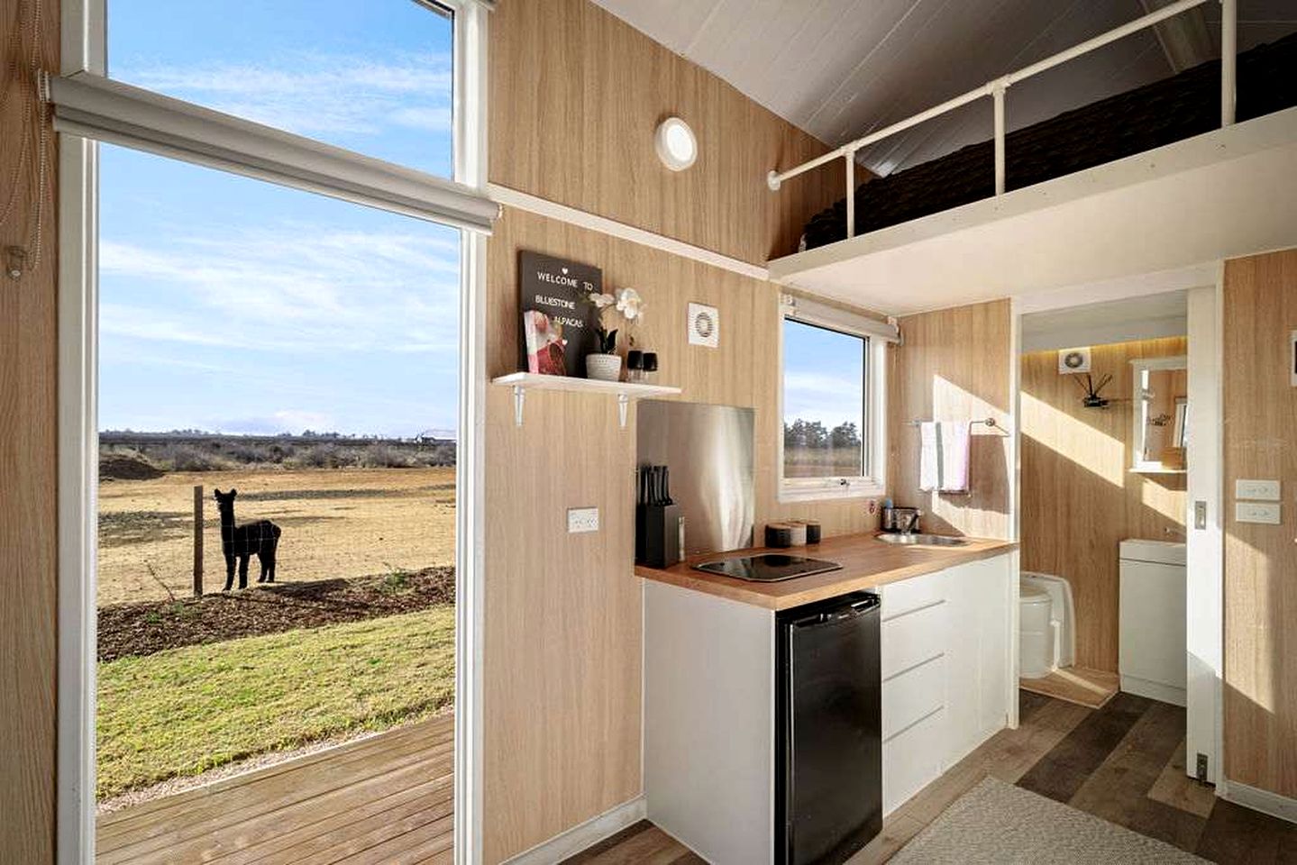 Cozy Tiny House Stay with Friendly Alpacas near Mildura, Victoria