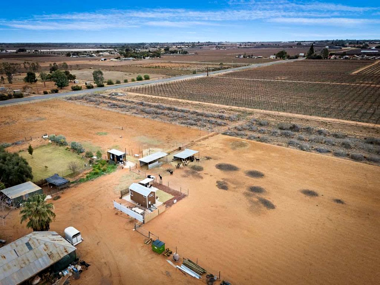 Cozy Tiny House Stay with Friendly Alpacas near Mildura, Victoria