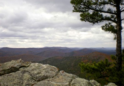undefined photo 5