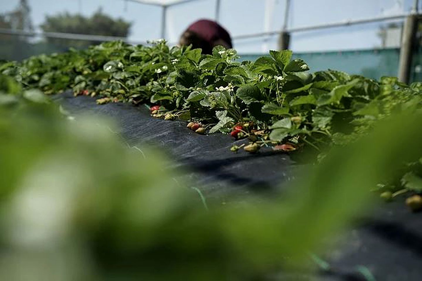 Gorgeous Bed and Breakfast Accommodation on Whangaruru Harbour, North Island