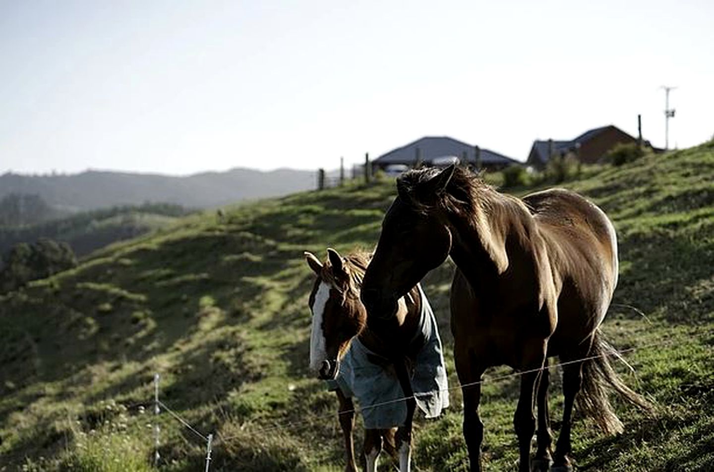 Gorgeous Bed and Breakfast Accommodation on Whangaruru Harbour, North Island
