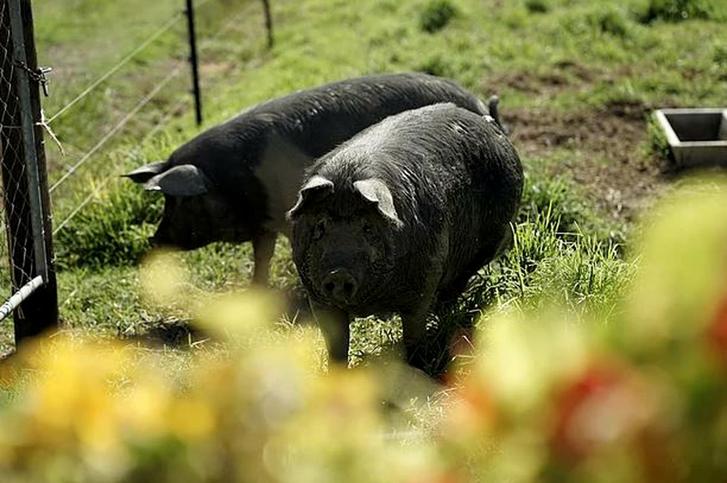 Gorgeous Bed and Breakfast Accommodation on Whangaruru Harbour, North Island