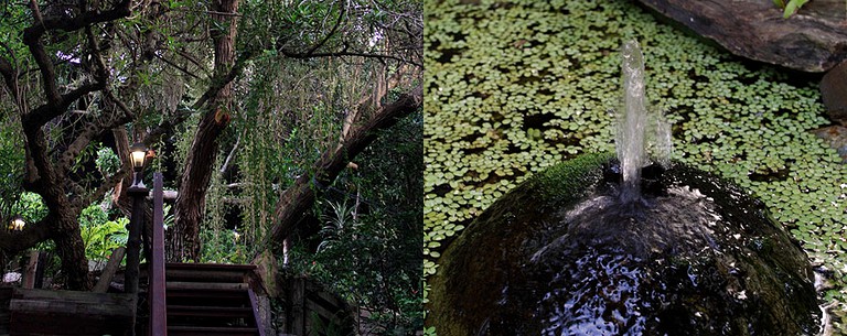 Tree Houses (Wilderness, Western Cape, South Africa)