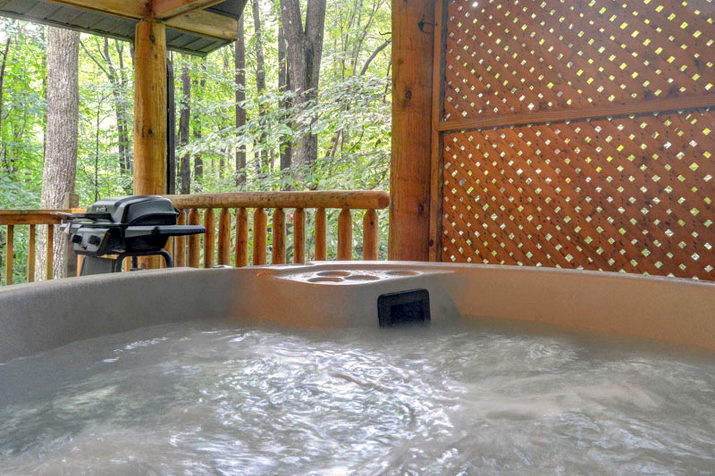 Bobcat Cabin in the Mountains in Bruceton Mills, West Virginia