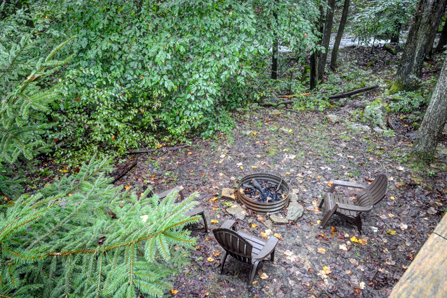 Bobcat Cabin in the Mountains in Bruceton Mills, West Virginia