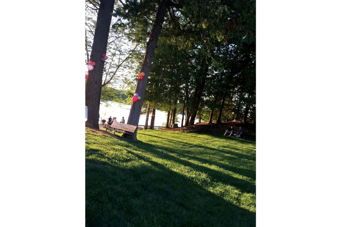 Group of Cottages Great for Family or Group Reunions in Ontario