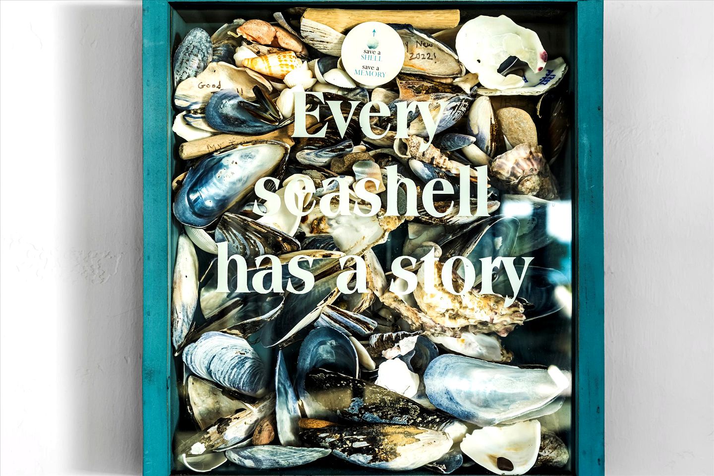 Dog Friendly Beach Vacation Rental with Coastal Views and Luxury Amenities in Bodega Bay, California