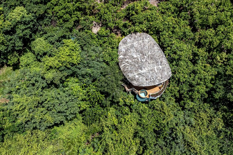 Tree Houses (Costa Rica, Matapalo, Puntarenas)