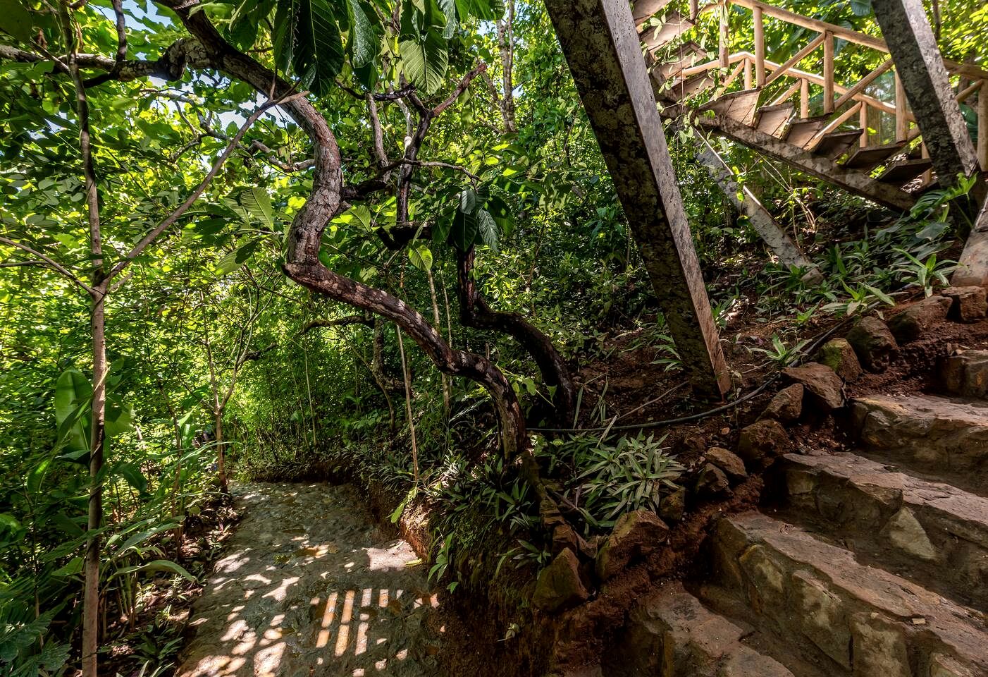 Romantic Bohemian Treehouse with Jungle Views near Playa Grande, Costa Rica