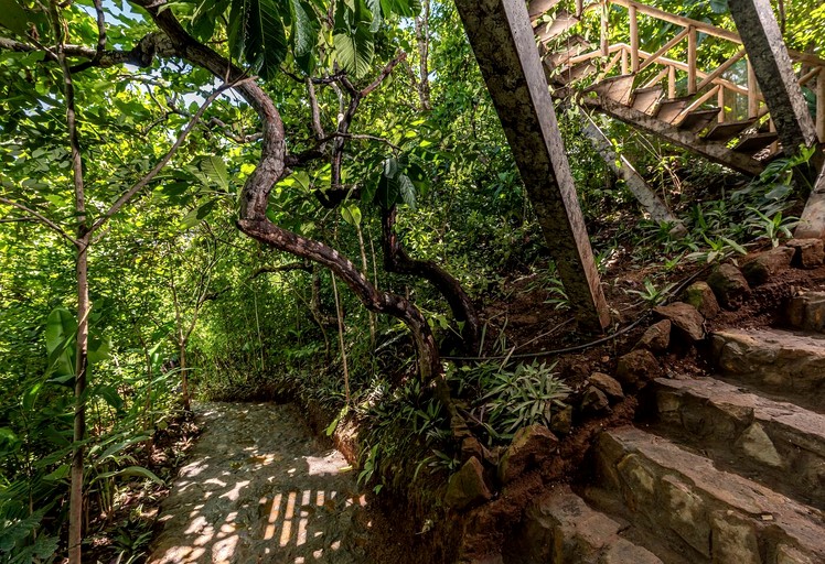 Tree Houses (Costa Rica, Matapalo, Puntarenas)
