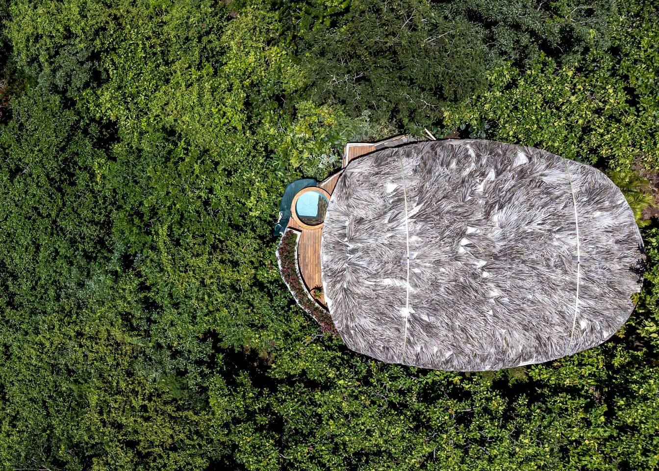 Romantic Bohemian Treehouse with Jungle Views near Playa Grande, Costa Rica