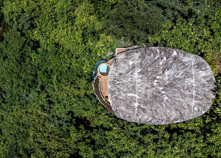 Tree Houses (Costa Rica, Matapalo, Puntarenas)