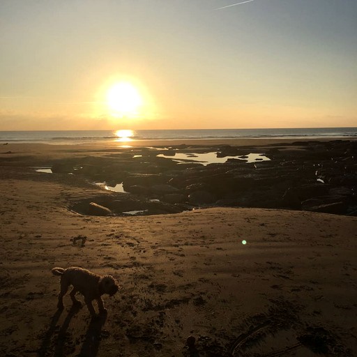 Cottages (United Kingdom, Vale of Glamorgan, Wales)