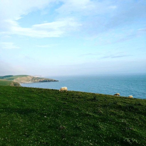 Cottages (United Kingdom, Vale of Glamorgan, Wales)