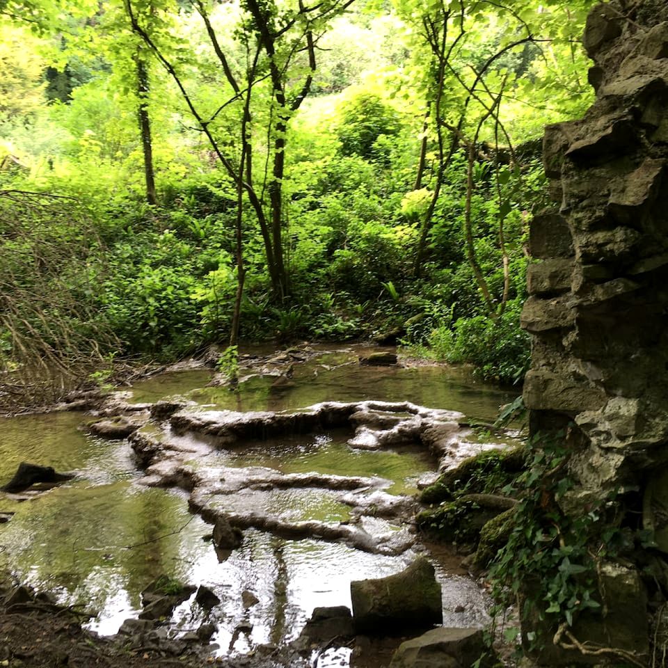 Charming Boho Cottage with Walled Garden near Dunraven Bay in Southerndown, Wales