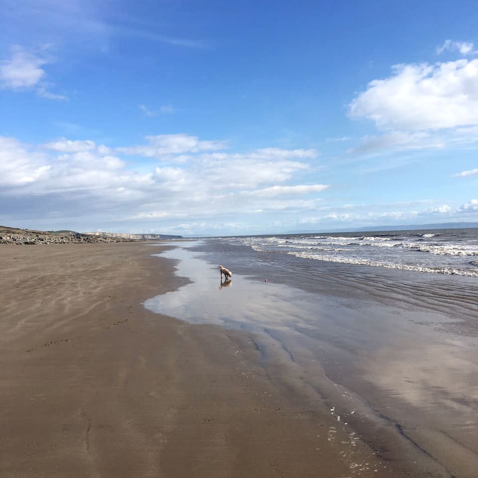 Charming Boho Cottage with Walled Garden near Dunraven Bay in Southerndown, Wales