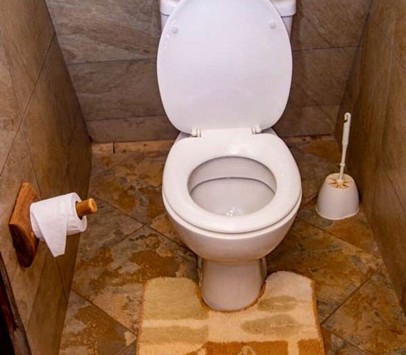 Boma Simba Safari Lodge | Cabins (Voi, Coast Province, Kenya)