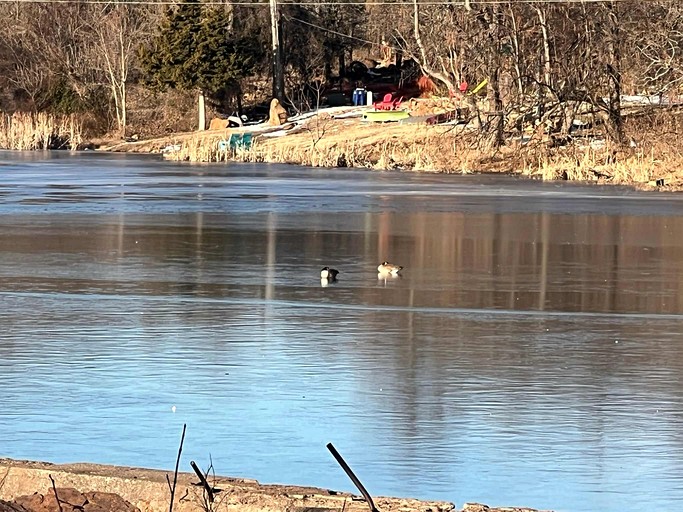 Vacation Rentals (United States of America, Medicine Park, Oklahoma)