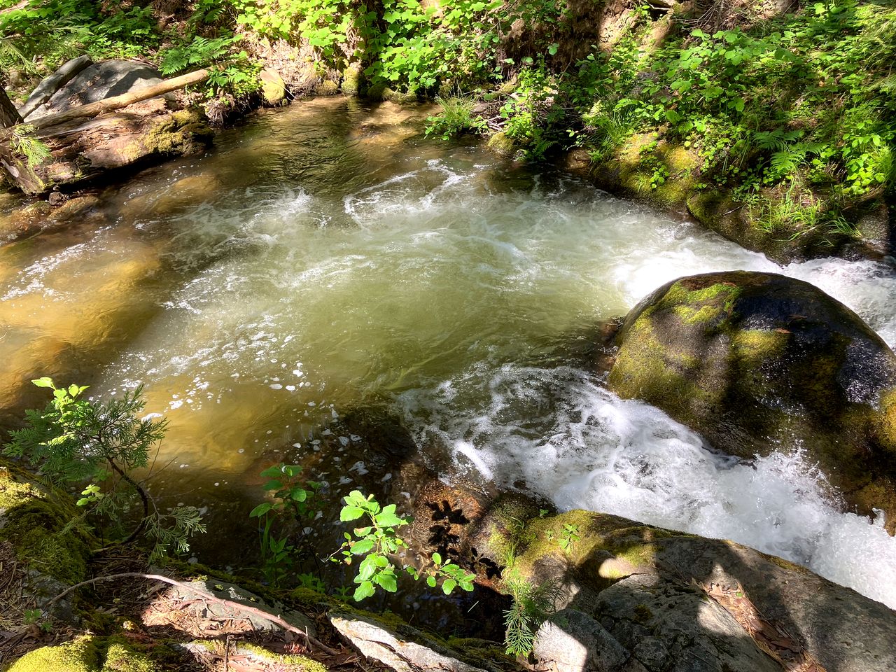 Enchanting Creekside Cabin Retreat near Yosemite National Park in California