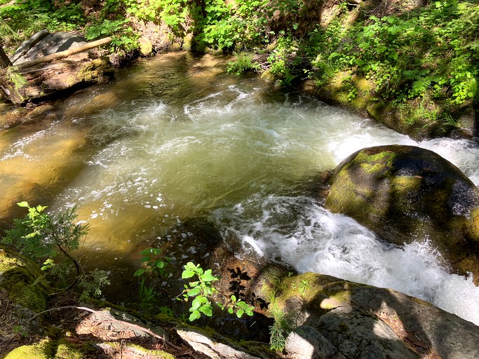 Cabins (United States of America, Oakhurst, California)
