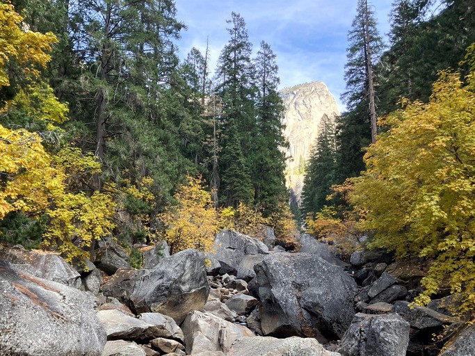 Cabins (United States of America, Oakhurst, California)