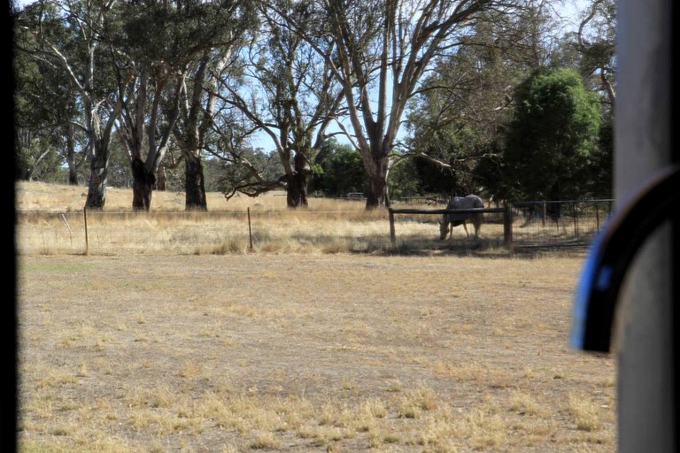 Tents (Adelaide, South Australia, Australia)