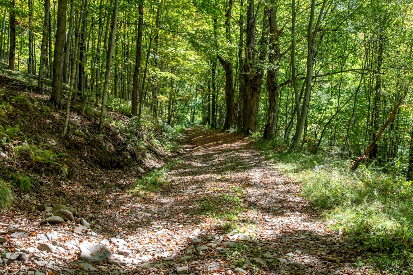 Secluded Creative Hideaway with Pond, Porch & Forest Views in Andes, New York