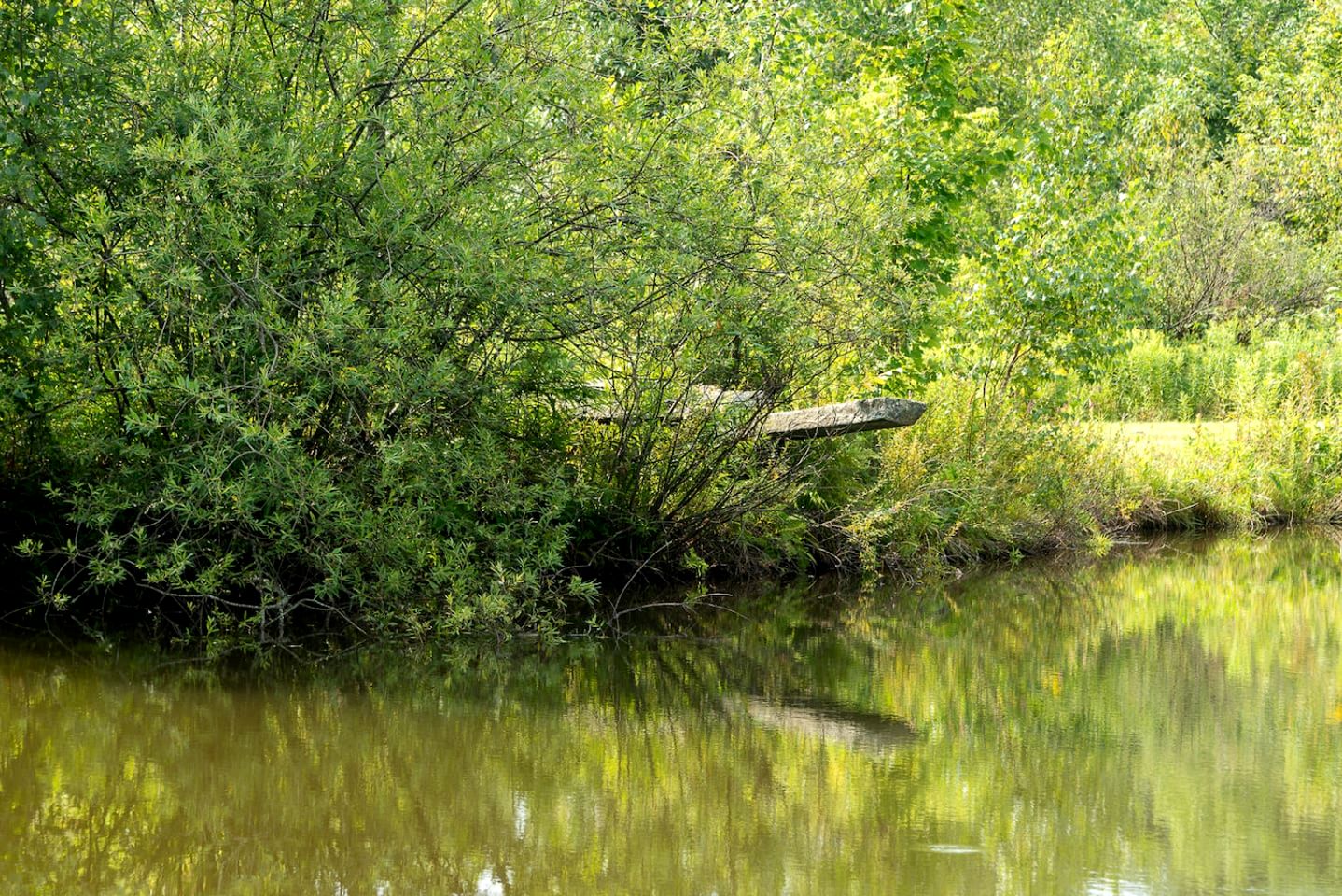 Secluded Creative Hideaway with Pond, Porch & Forest Views in Andes, New York