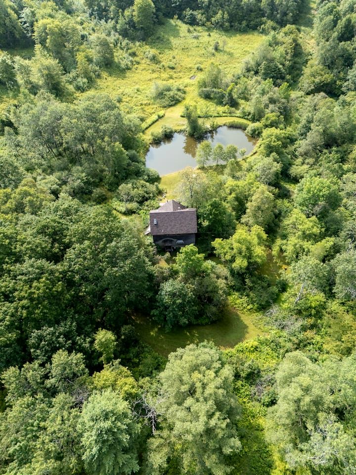 Secluded Creative Hideaway with Pond, Porch & Forest Views in Andes, New York
