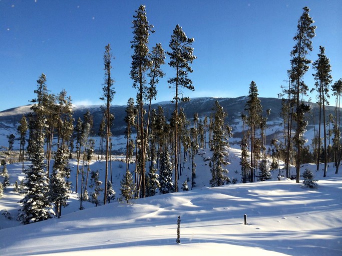 Log Cabins (Silverthorne, Colorado, United States)