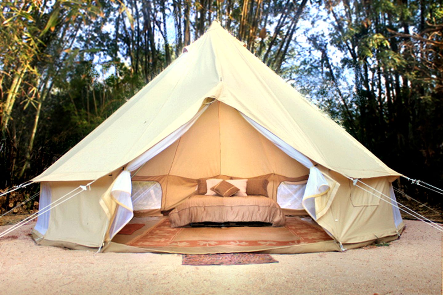 Luxury Camping Tent Surrounded by Vibrant Forest in La Ribera, Mexico