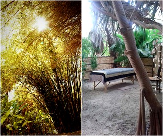 Luxury Camping Tent Surrounded by Vibrant Forest in La Ribera, Mexico - Photo 2