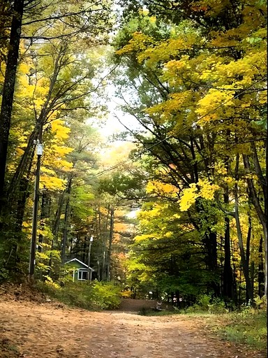 Vacation Rentals (United States of America, Traverse City, Michigan)