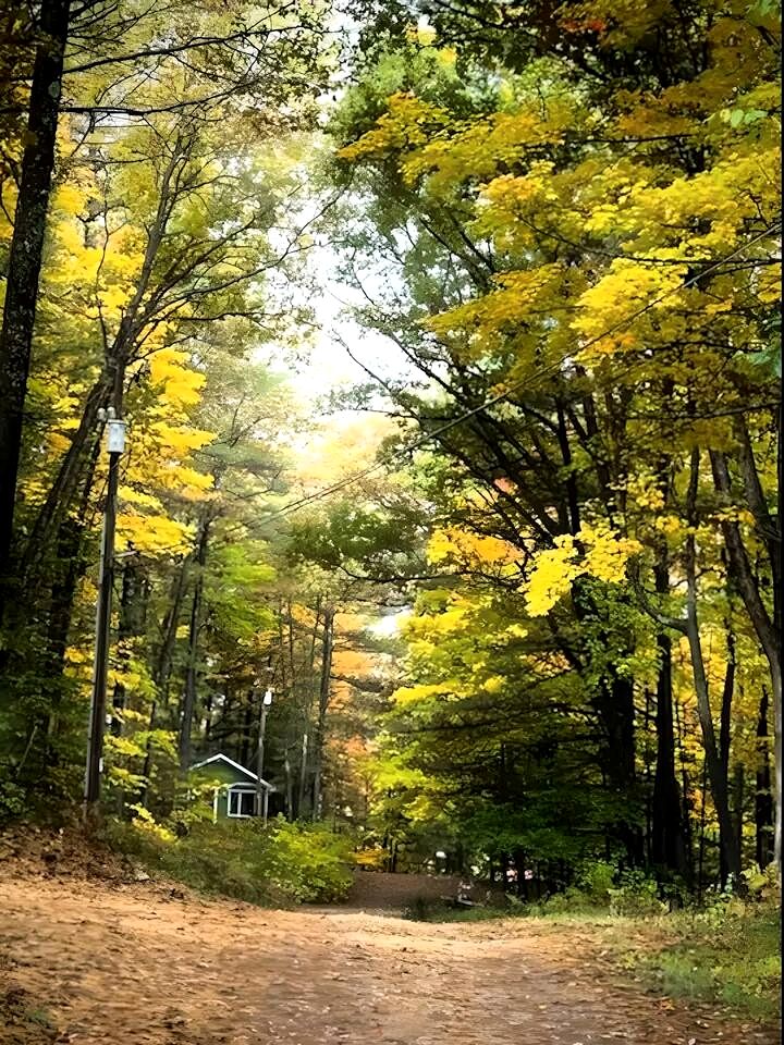 Charming Waterfront Cabins with Hot Tub & Private Beach Access near Traverse City, Michigan