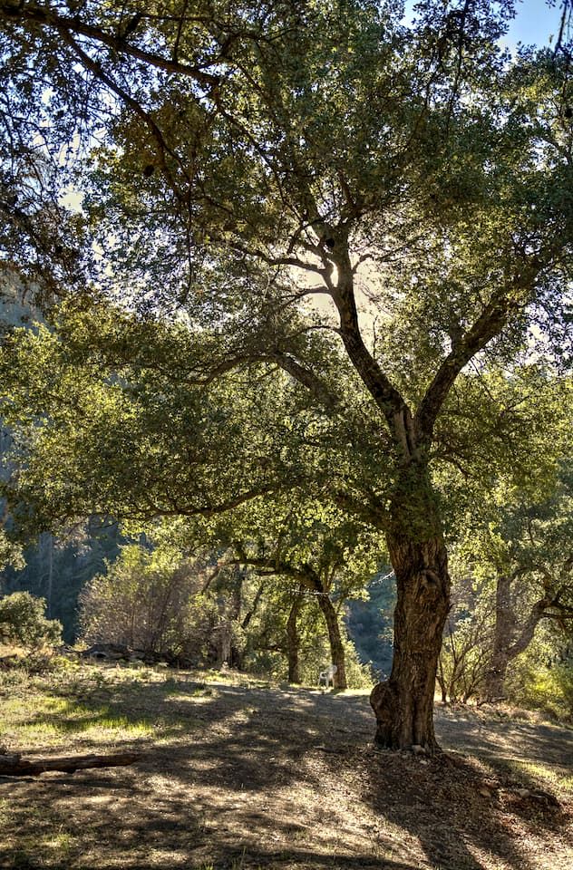 Secluded Luxury Glamping Tent with Panoramic Mountain Views near Pauma Valley, CA