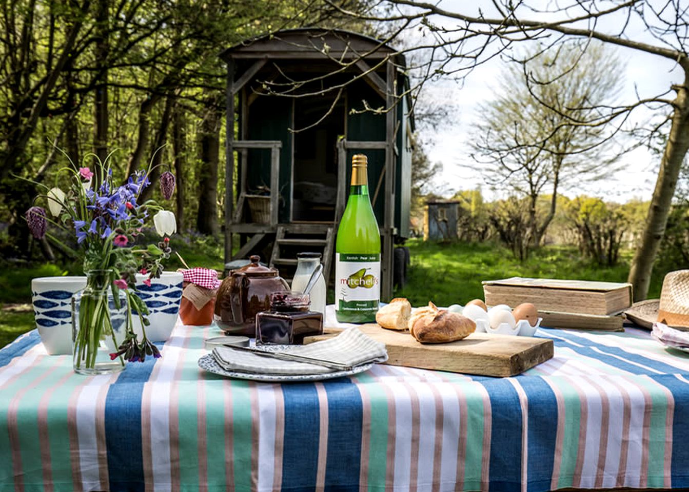 Boutique Living Van in Great British Countryside