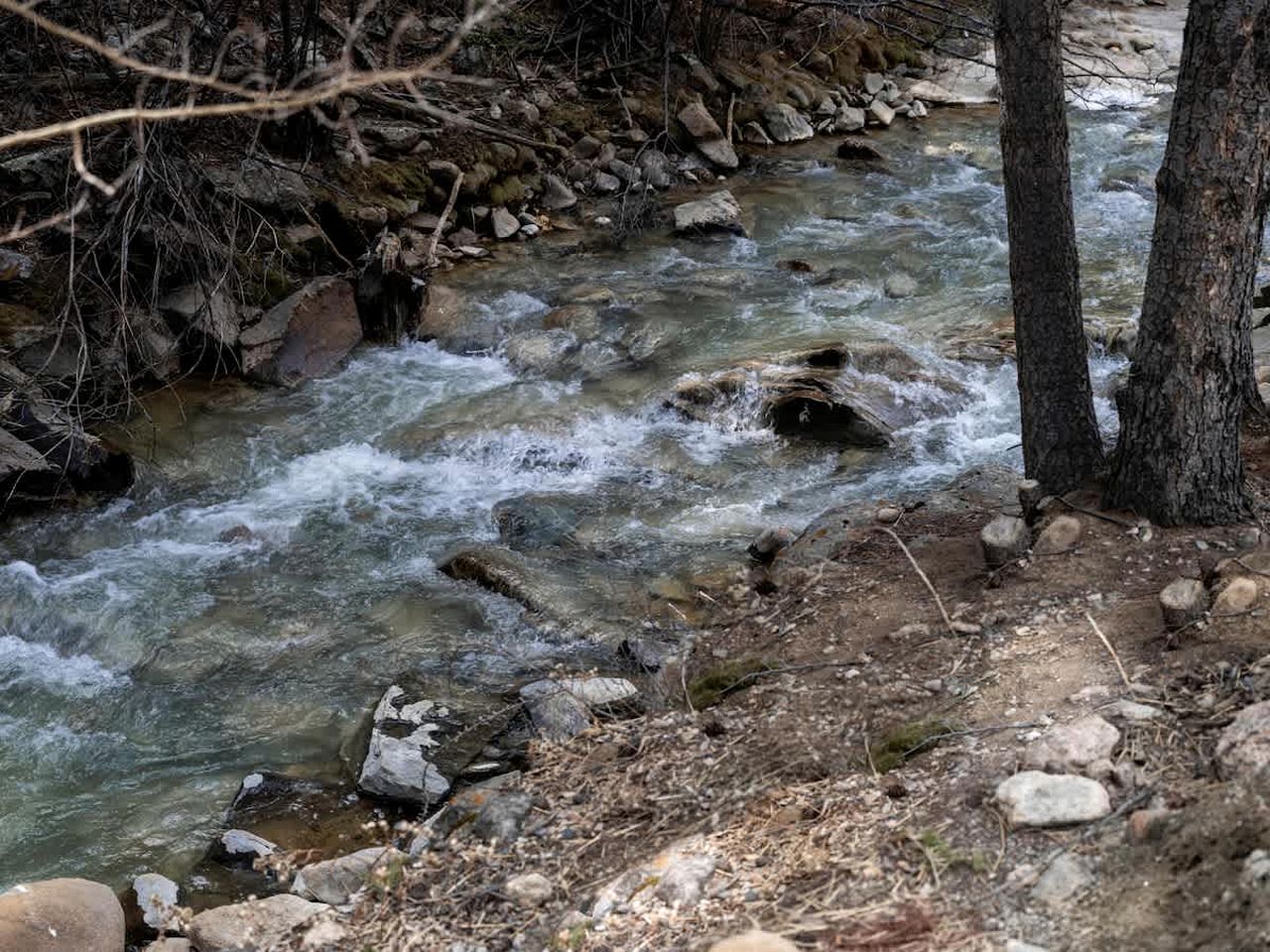 Bow & Arrow, Creekside Sauna, Cold Plunge in Grant, Colorado