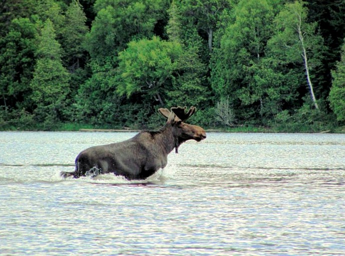 Cabins (Ashland, Maine, United States)