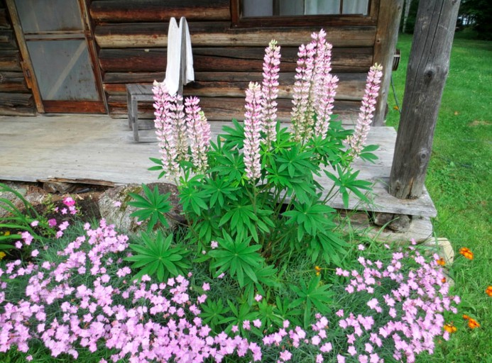 Cabins (Ashland, Maine, United States)