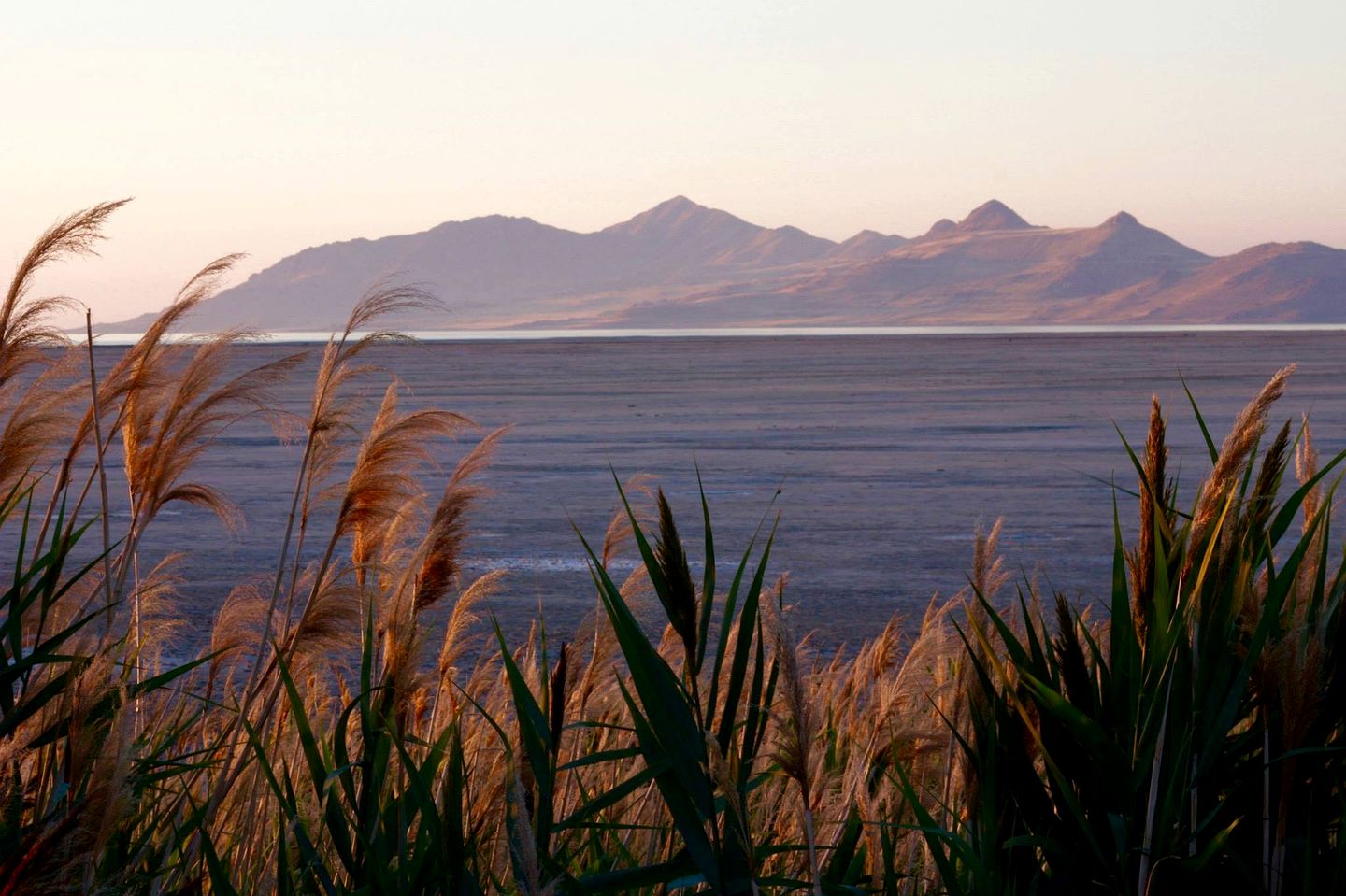 Brand New Farmhouse Vacation Rental Perfect for a Family Getaway in Garden City, Utah