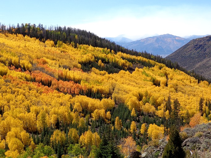 Nature Lodges (Garden City, Utah, United States)