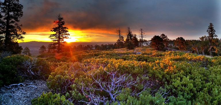 Nature Lodges (Garden City, Utah, United States)