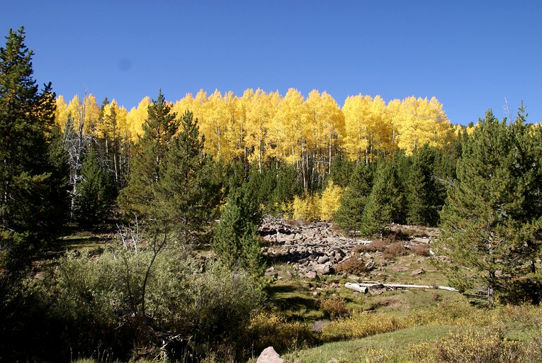 Nature Lodges (Garden City, Utah, United States)