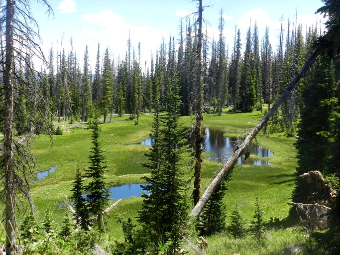 Nature Lodges (Garden City, Utah, United States)