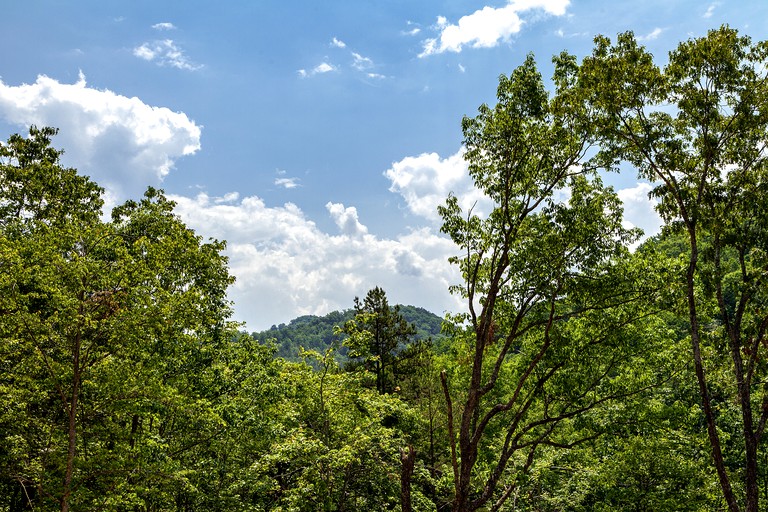 Cabins (United States of America, Sevierville, Tennessee)