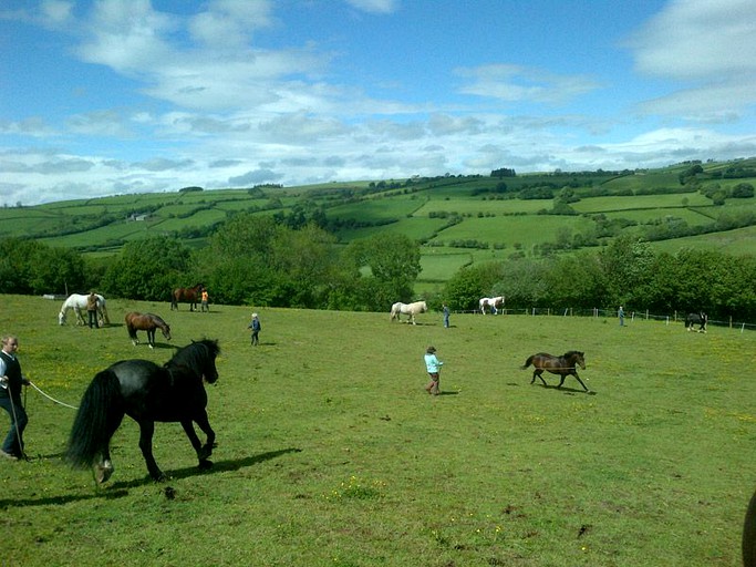 Pods (Felindre, Wales, United Kingdom)