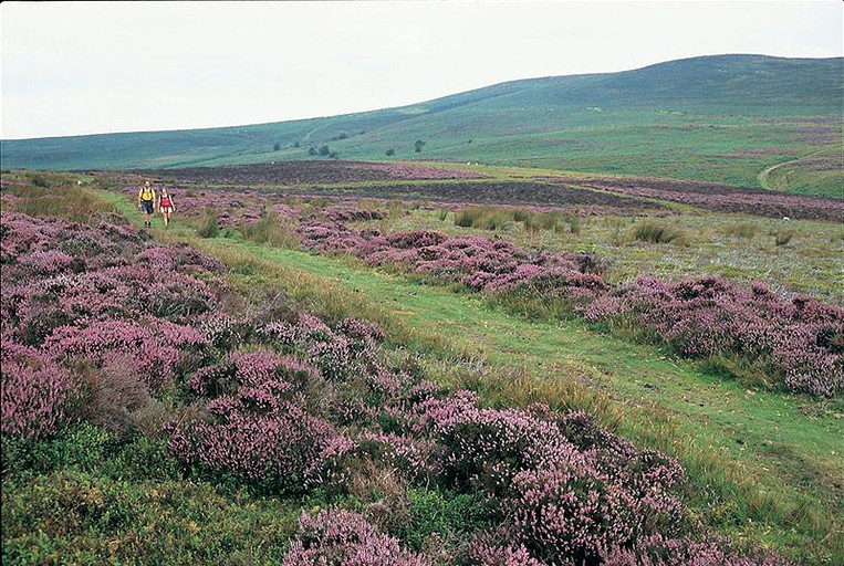 Pods (Felindre, Wales, United Kingdom)